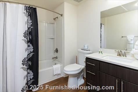 101 San Fernando - Mid-Rise - 101 East San Fernando St, San Jose, CA  95112 - LG - 8112253