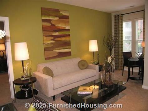 1225 South Church -  - 1225 South Church St., Charlotte, NC  28203 - LG - 532616