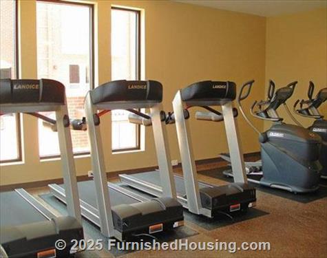 1225 South Church -  - 1225 South Church St., Charlotte, NC  28203 - LG - 532618