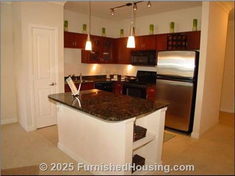 3000 Sage -  - 3000 Sage Rd., Houston, TX  77056 - LG - 472665