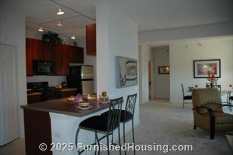 301 Riverwalk Place - Hi-Rise - 301 North Riverwalk Dr, Buffalo Grove, IL  60090 - LG - 268500
