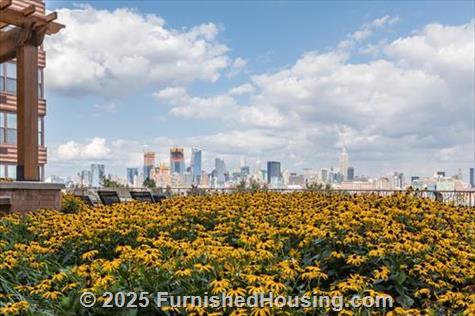 333 River Street - Hi-Rise - 333 River Street, Hoboken, NJ  07030 - LG - 6511169
