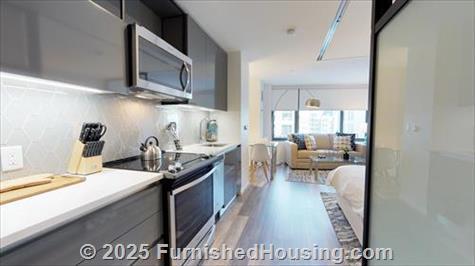 345 Harrison - Hi-Rise - 345 Harrison Ave, Boston, MA  02118 - LG - 6463019