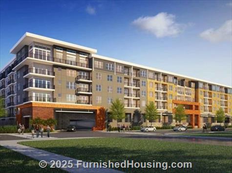 909 Flats -  - 909 Rosa L Parks Blvd, Nashville, TN  37208 - LG - 4788635