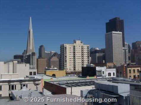 939 Jackson -  - 939 Jackson Street, San Francisco, CA  94108 - LG - 74007