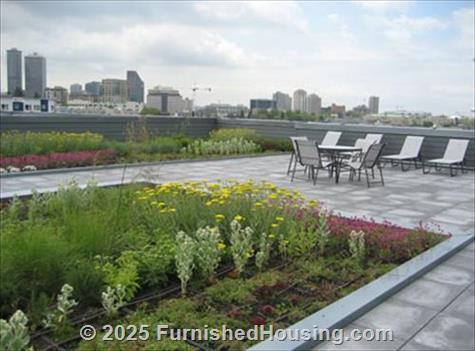 AMLI 535 -  - 535 Pontius Ave N, Seattle, WA  98109 - LG - 285664