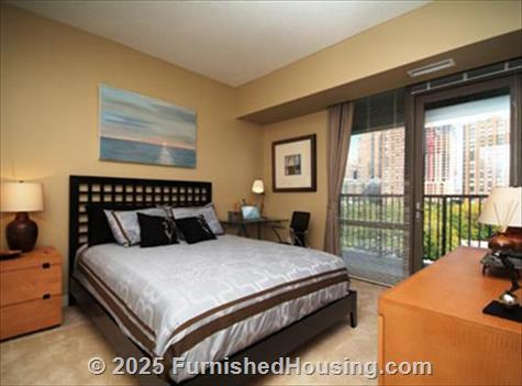 AMLI 900 -  - 900 South Clark St, Chicago, IL  60605 - LG - 84694