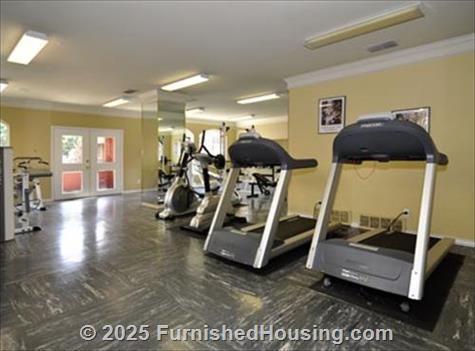 AMLI at Knox Henderson - walk-up - 4650 Cole Avenue, Dallas, TX  75205 - LG - 86824