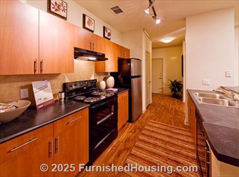 AMLI at LaVillita -  - 6419 Tranquilo, Irving, TX  75039 - LG - 243029