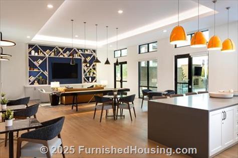 AVE Austin North Lamar -  - 7400 North Lamar Blvd, Austin, TX  78752 - LG - 8616103