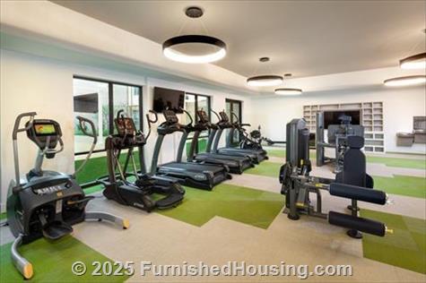 AVE Austin North Lamar -  - 7400 North Lamar Blvd, Austin, TX  78752 - LG - 8616105