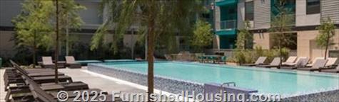 Agave -  - 633 S Saint Marys Street, San Antonio, TX  78205 - LG - 4779487