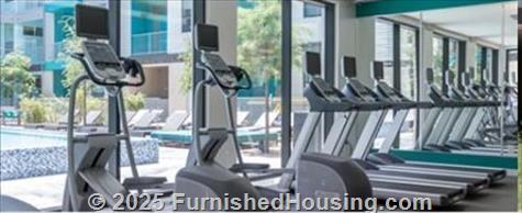 Agave -  - 633 S Saint Marys Street, San Antonio, TX  78205 - LG - 4779488