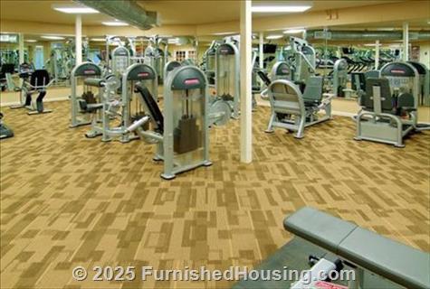 Alexander on Ponce -  - 144 Ponce De Leon Avenue, Atlanta, GA  30308 - LG - 87109