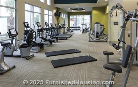 Amelia at Westshore -  - 6608 S. Westshore Boulevard, Tampa, FL  33616 - LG - 6193472