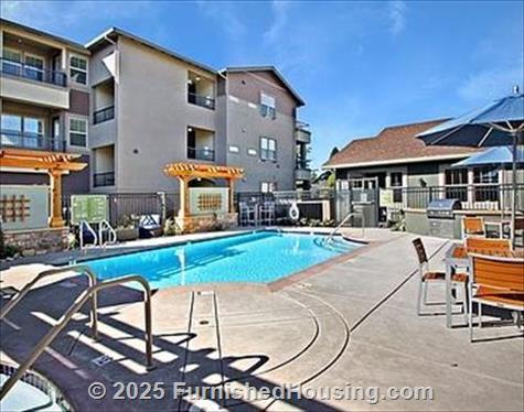 Anton Napa -  - 703 Saratoga Drive, Napa, CA  94559 - LG - 5331476