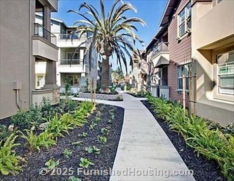 Anton Napa -  - 703 Saratoga Drive, Napa, CA  94559 - LG - 5331478