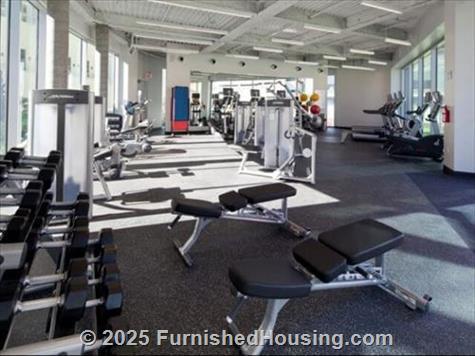 Apex - Hi-Rise - 900 S. Figueroa Street, Los Angeles, CA  90015 - LG - 4846830