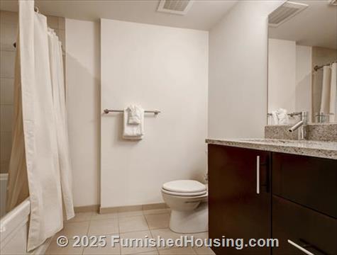 Arlington Fully Furnished Apartment - Hi-Rise - 220 20th Street South, Arlington, VA  22202 - LG - 4234248