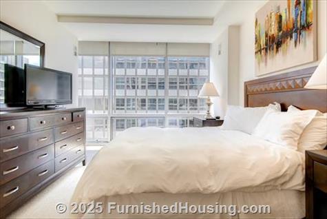 Arlington Fully Furnished Apartment - Hi-Rise - 220 20th Street South, Arlington, VA  22202 - LG - 4399845