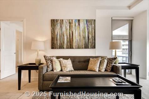 Arlington Fully Furnished Apartment - Hi-Rise - 220 20th Street South, Arlington, VA  22202 - LG - 4765585