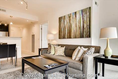 Arlington Fully Furnished Apartment - Hi-Rise - 220 20th Street South, Arlington, VA  22202 - LG - 4765587