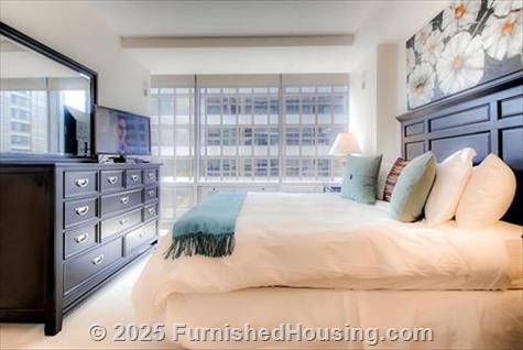 Arlington Fully Furnished Apartment - Hi-Rise - 220 20th Street South, Arlington, VA  22202 - LG - 4854474