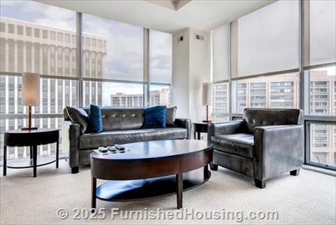Arlington Fully Furnished Apartment - Hi-Rise - 220 20th Street South, Arlington, VA  22202 - LG - 4854480