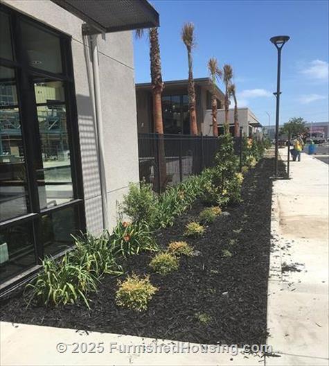 Aspire - Hi-Rise - 2725 Pavilion Parkway, Tracy, CA  95304 - LG - 4612924