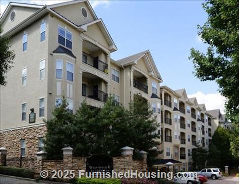 Aster at Buckhead -  - 2900 Pharr Ct NW, Atlanta, GA  30305 - LG - 4779491