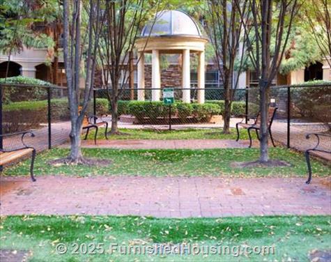 Aster at Buckhead -  - 2900 Pharr Ct NW, Atlanta, GA  30305 - LG - 4779495