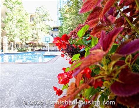 Aster at Buckhead -  - 2900 Pharr Ct NW, Atlanta, GA  30305 - LG - 4779498
