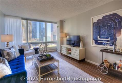 Atwater Apartments -  - 355 East Ohio Street, Chicago, IL  60611 - LG - 4358775