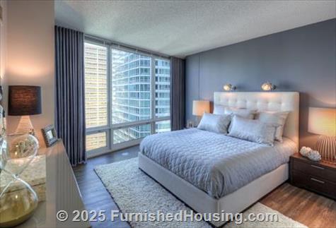 Atwater Apartments -  - 355 East Ohio Street, Chicago, IL  60611 - LG - 4358776