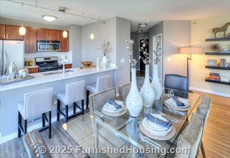 Atwater Apartments -  - 355 East Ohio Street, Chicago, IL  60611 - LG - 4358777