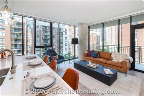 Aurelien Apartments -  - 833 N Clark St, Chicago, IL  60610 - LG - 6167436