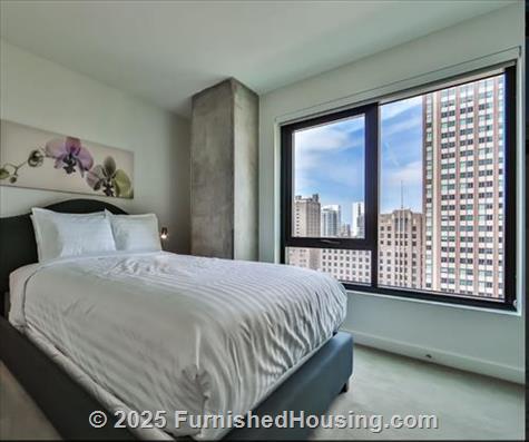 Aurelien Apartments -  - 833 N Clark St, Chicago, IL  60610 - LG - 6167437