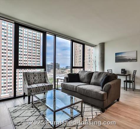 Aurelien Apartments -  - 833 N Clark St, Chicago, IL  60610 - LG - 6167441
