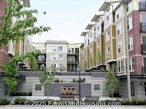 Avalon Bellevue - Mid-Rise - 11000 N.E. 10th Street, Bellevue, WA  98004 - LG - 59211