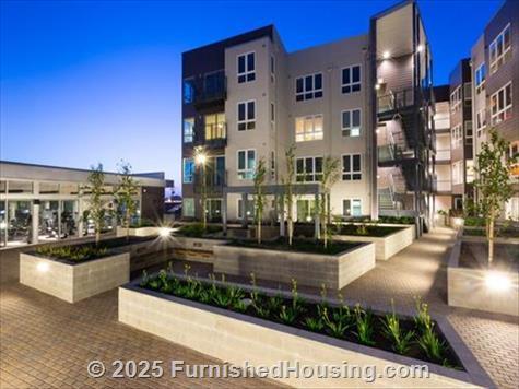 Avalon Berkeley - Mid-Rise - 651 Addison Street, Berkeley, CA  94710 - LG - 3593761