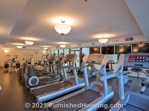 Avalon Crescent - Garden-Apt - 8221 Peridot Drive, Mclean, VA  22102 - LG - 1558798