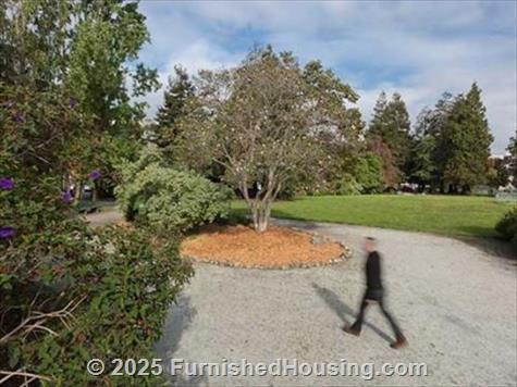 Avalon Dogpatch -  - 800 Indiana Street, San Francisco, CA  94107 - LG - 5397511