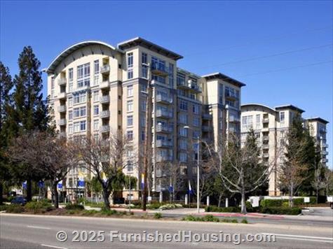 Avalon Towers on the Peninsula -  - 2400 West El Camino Real, Mountain View, CA  94040 - LG - 3637169