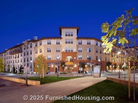 Avalon Walnut Creek -  - 1001 Harvey Drive, Walnut Creek, CA  94597 - LG - 4859157
