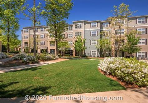Avana At Carolina Point -  - 201 Carolina Point Parkway, Greenville, SC  29607 - LG - 4823844