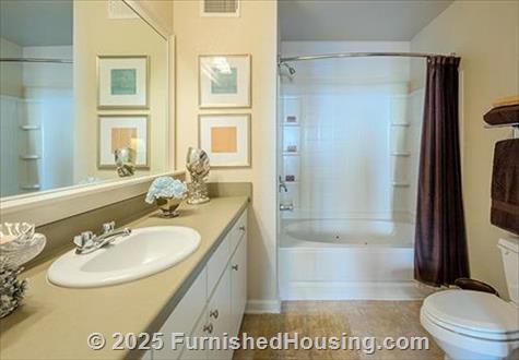 Avana At Carolina Point -  - 201 Carolina Point Parkway, Greenville, SC  29607 - LG - 4823848
