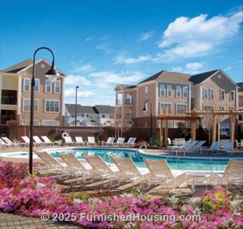 Ayrsley - Low-Rise - 9005 Lenox Pointe Drive, Charlotte, NC  28273 - LG - 65138