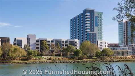Azure San Francisco -  - 690 Long Bridge Street, San Francisco, CA  94158 - LG - 5677190