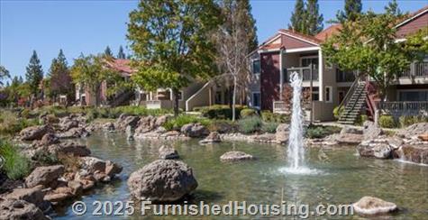 Bel Air -  - 2036 Shoreline Circle, San Ramon, CA  94582 - LG - 4391797