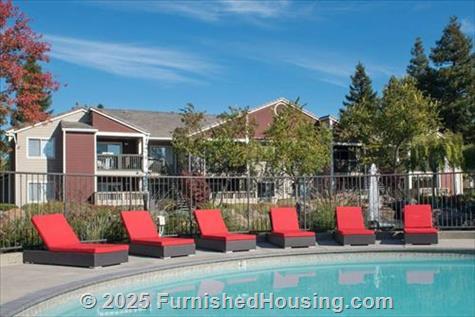 Bel Air -  - 2036 Shoreline Circle, San Ramon, CA  94582 - LG - 4861723